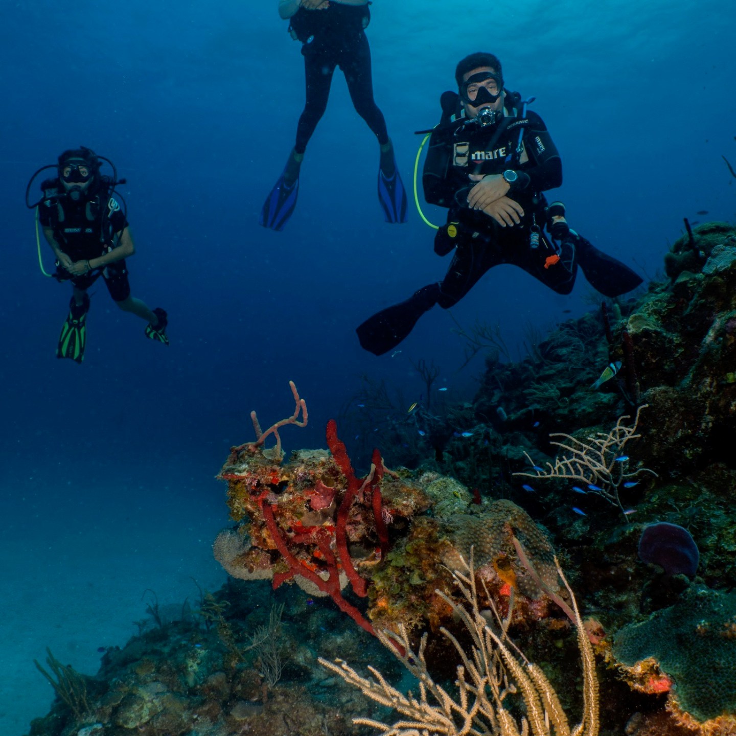 a group of people in a scuba diving