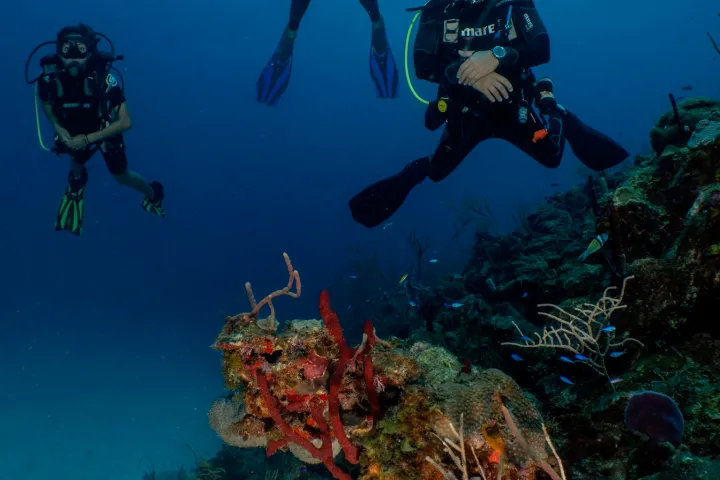 a group of people in a scuba diving