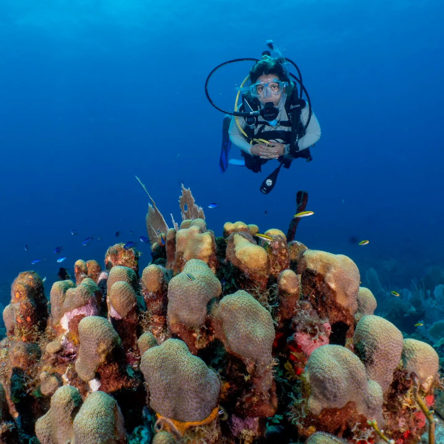 a person scuba diving