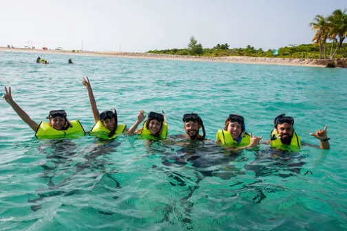 a group of people swimming in a body of water