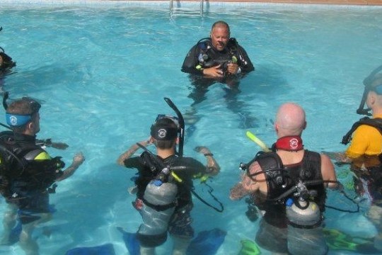 a group of people swimming in a pool