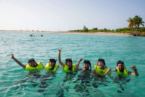 a group of people swimming in a body of water