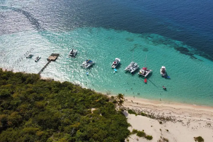 a group of people swimming in a body of water