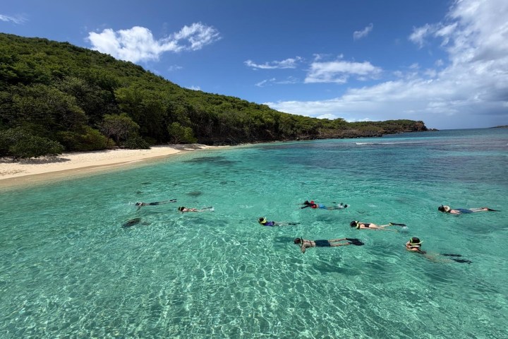 People snorkeling in clear turquoise water near a sandy beach and lush green hillside.