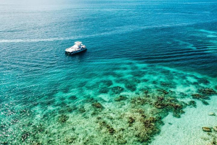 A boat on clear blue ocean water above a coral reef, under a sunny sky.
